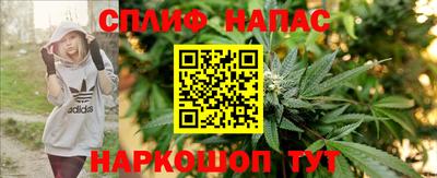 индика Гудермес