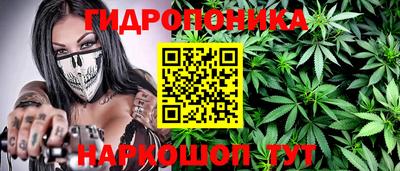 индика Гудермес