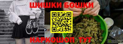 индика Гудермес