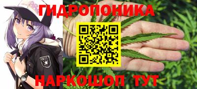 индика Гудермес
