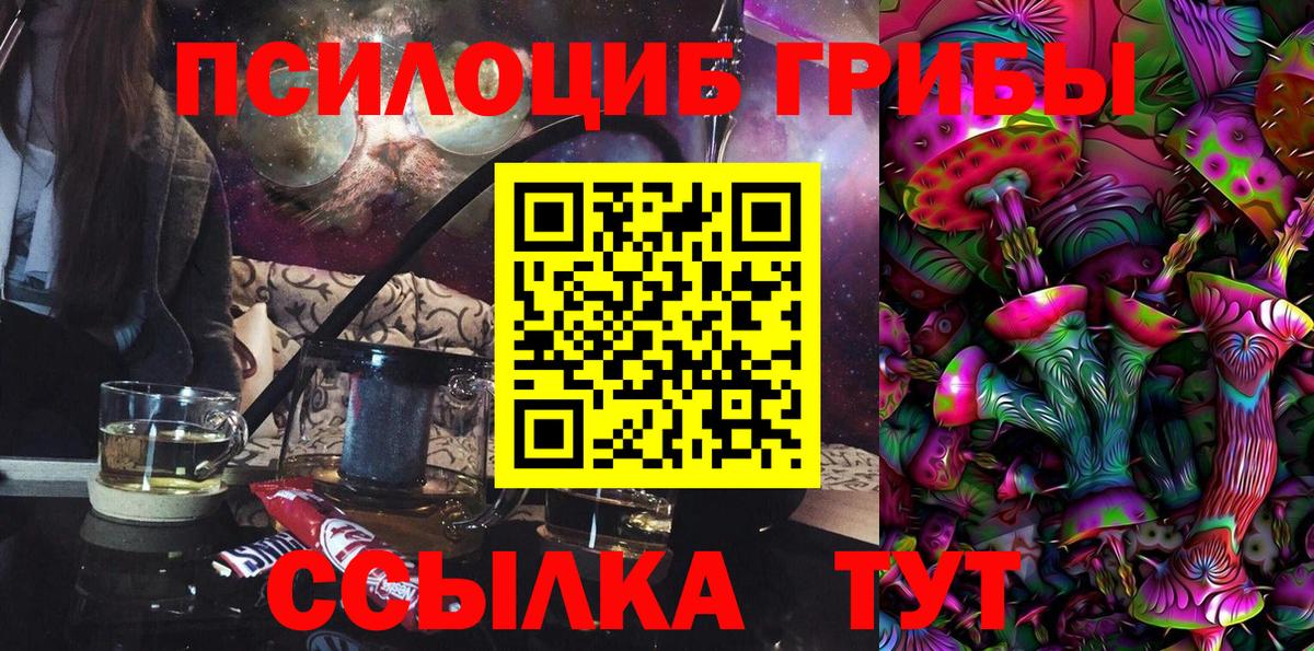 Нижний Новгород  Галлюциногенные грибы Cubensis  Галлюциногенные грибы прущие грибы  Вход с VPN 