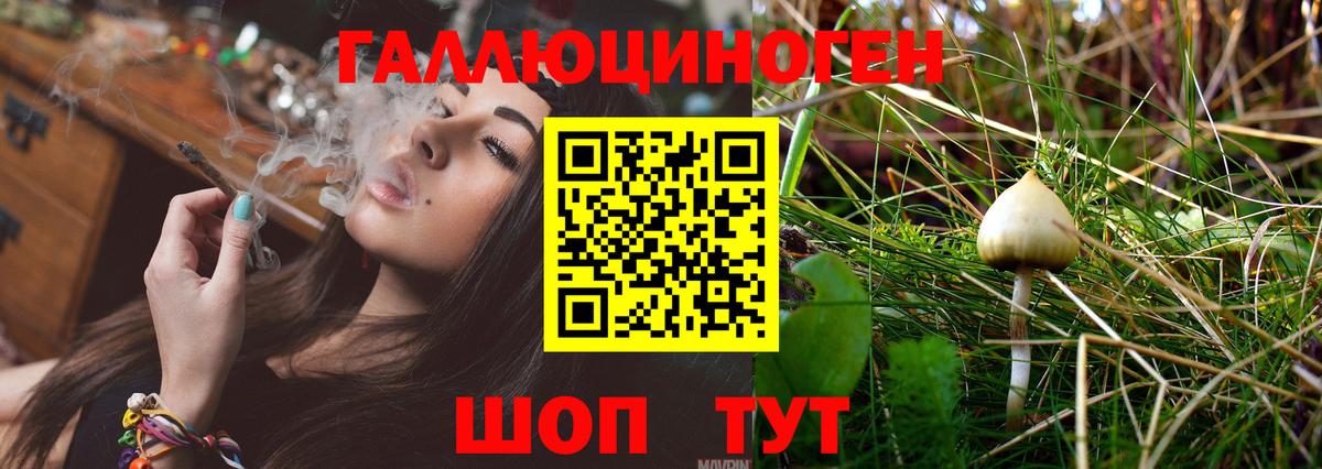 Псилоцибиновые грибы мухоморы Нижний Новгород
